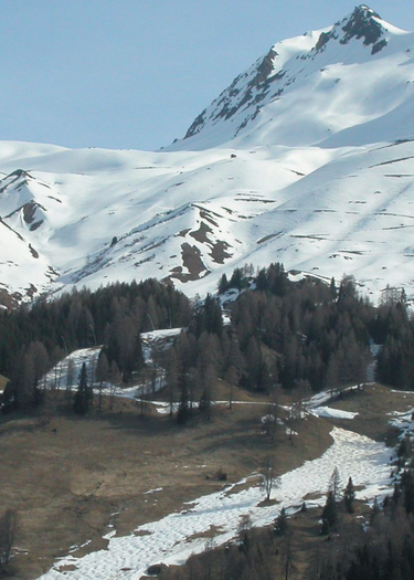 Pistes sans neige en février!