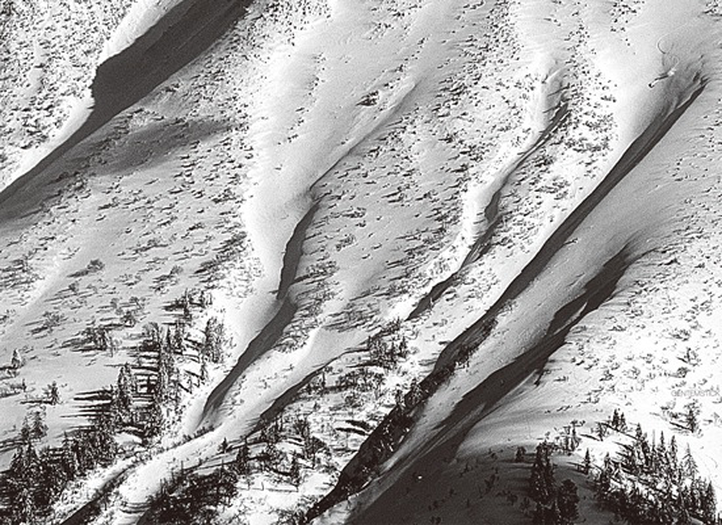 Ein Snowboard eignet sich nicht nur, um Männlichkeit zu beweisen, sondern z.B. auch, um mystische Winterlandschaften zu entdecken.
